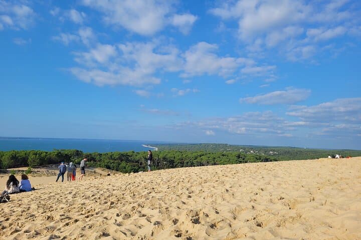 Private Tour in Dune Du Pilat and Oyster Village