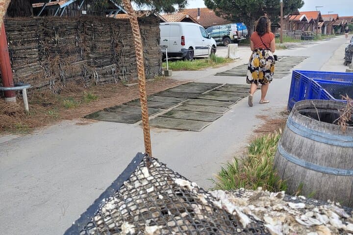 Private Tour in Dune Du Pilat and Oyster Village