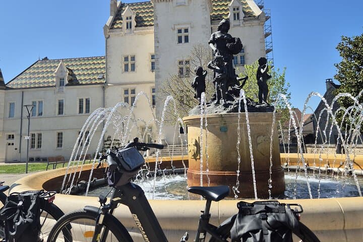 From Dijon or Beaune: E-Bike Burgundy day tour, tastings & lunch