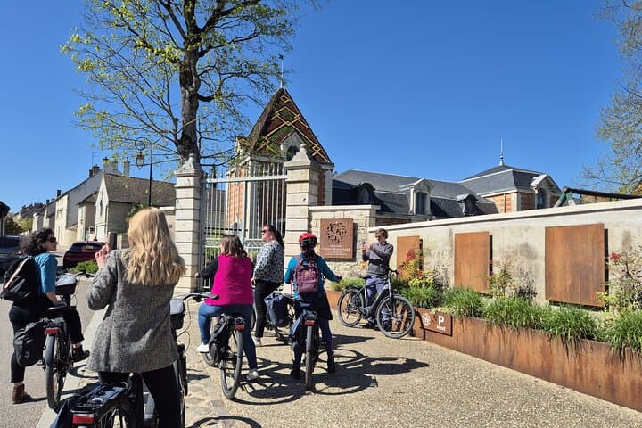 From Dijon or Beaune: E-Bike Burgundy day tour, tastings & lunch