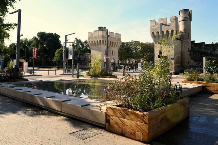 Avignon: Private Walking Tour
