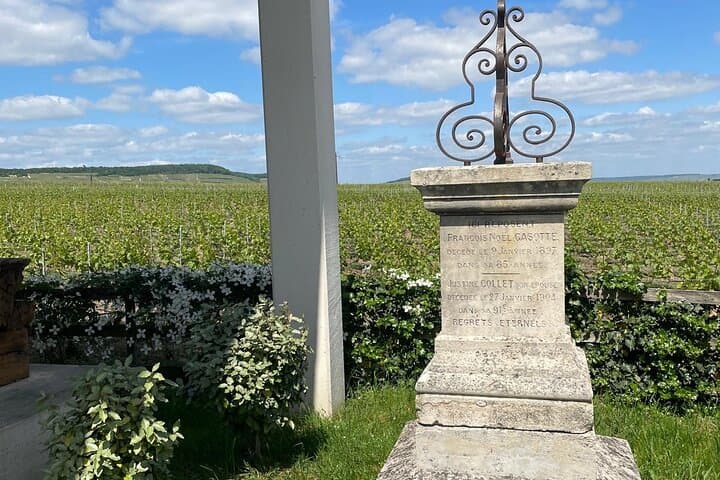 Transfer from Paris to Reims or Epernay
