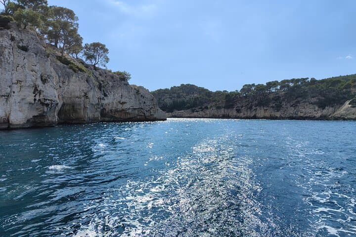 Cassis, Winery visit & Calanques from Aix en Provence.