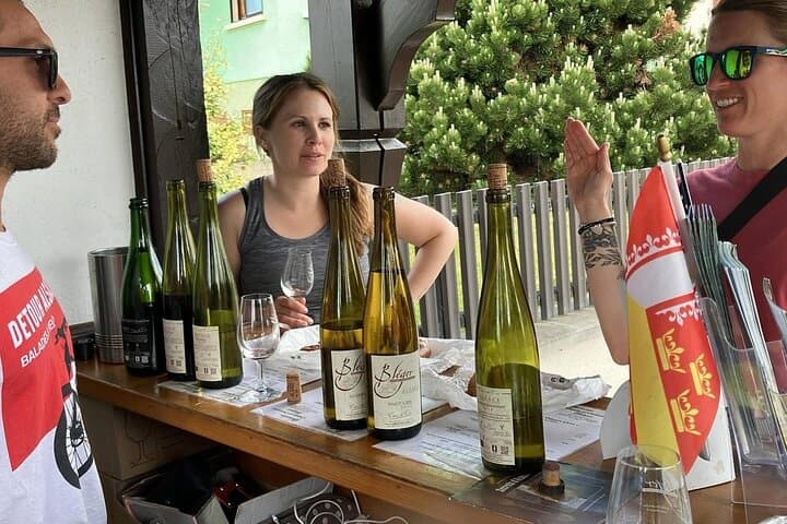 Wine tasting of the Christophe BLEGER estate