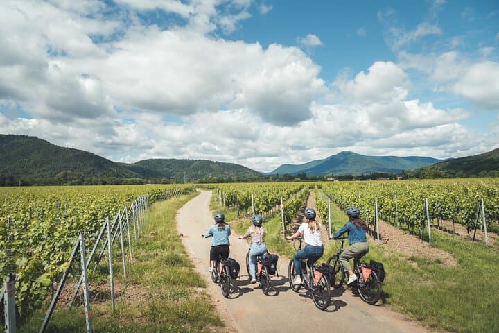 A panoramic view of the Alsace Wine Route