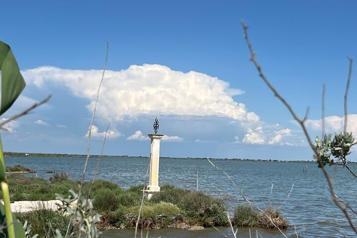 Montpellier Guided Ride in Little Camargue by Electric Bike