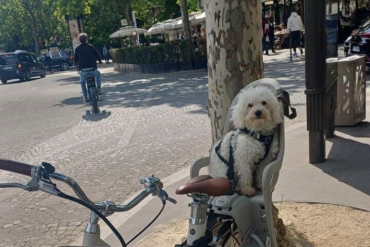 Explore Paris with A Comfortable Bike Tour Ride