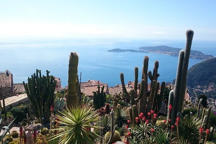 Eze, Monaco, Monte-Carlo Full Day Shared Tour