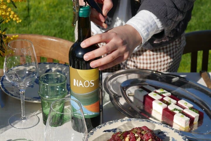 Tasting DE wines of the region by the cellar "copains comme raisins"