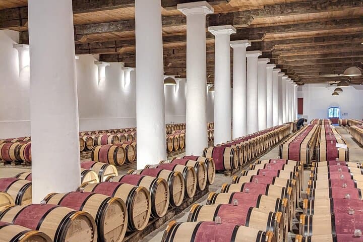 Private Saint-Emilion Full-Day tour, from Bordeaux
