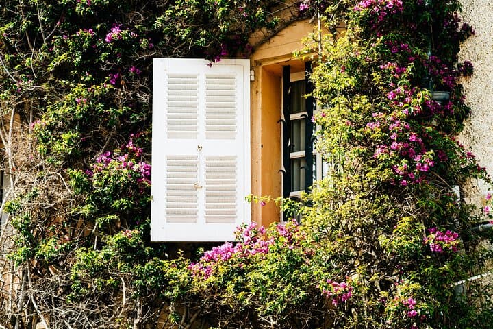 Private tour in Saint-Tropez