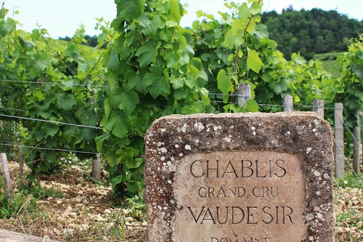 Vineyard DE Vaudésir