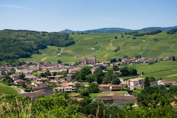 This is what the area looks like and you will surely know the name of the wine produced by this specific village!