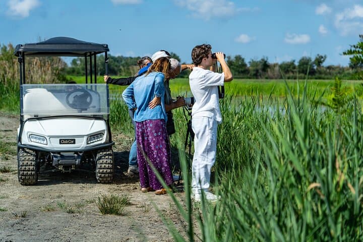 Camargue Electric Car Safari in a Nature Reserve