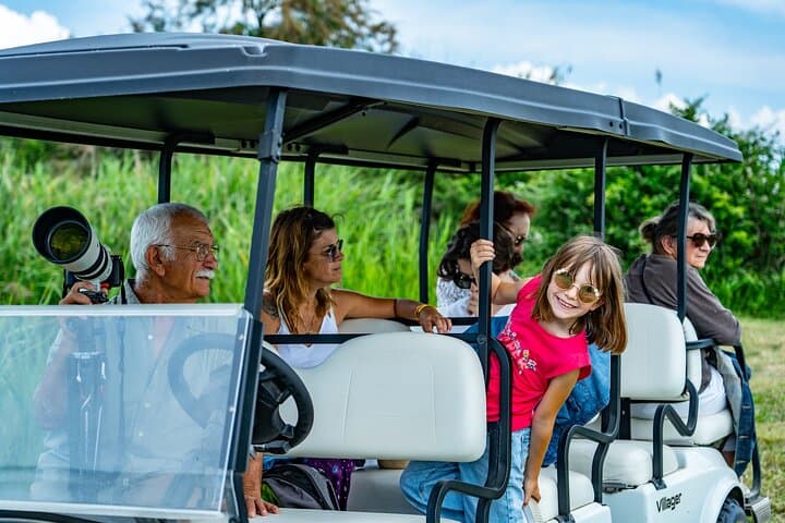 Camargue Electric Car Safari in a Nature Reserve