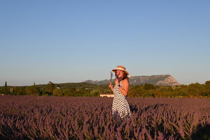 Lavandar Fields