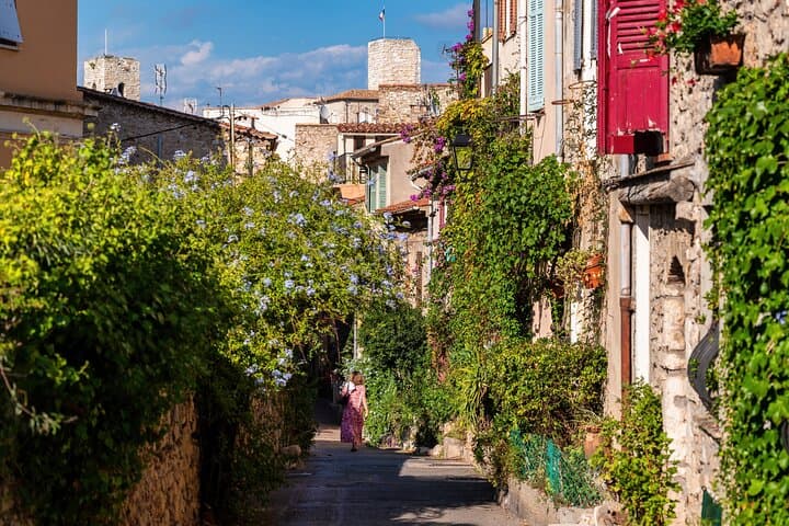 The Essence of Provence and Explore at Your Pace