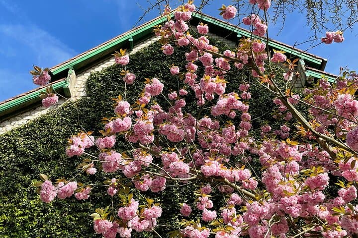 Le Havre Shore Excursion: Private Trip to Monet's Giverny