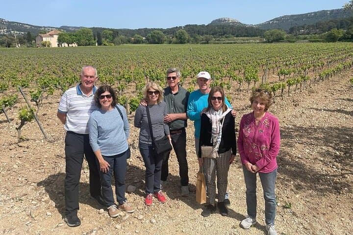 Marseille Shore Excursion : private Aix visit and wine tasting