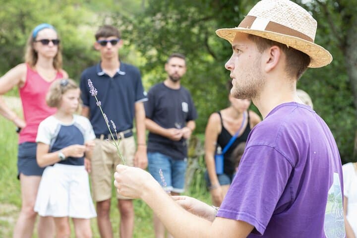 Summer entertainment in Chamaloc: distillation and picking DE lavender – ideal for young and old, every Monday and Wednesday at 5pm.