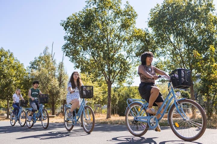 City bike tour by ComhiC - The Highlights - 3h