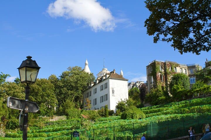 Montmartre Guided Walking Tour: Famous Artists and Cabarets
