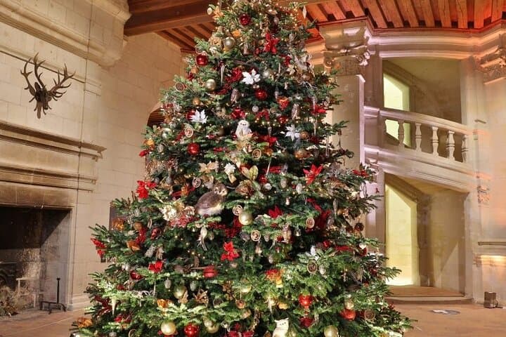 Noël aux Châteaux de la Loire au départ de Paris - 2025