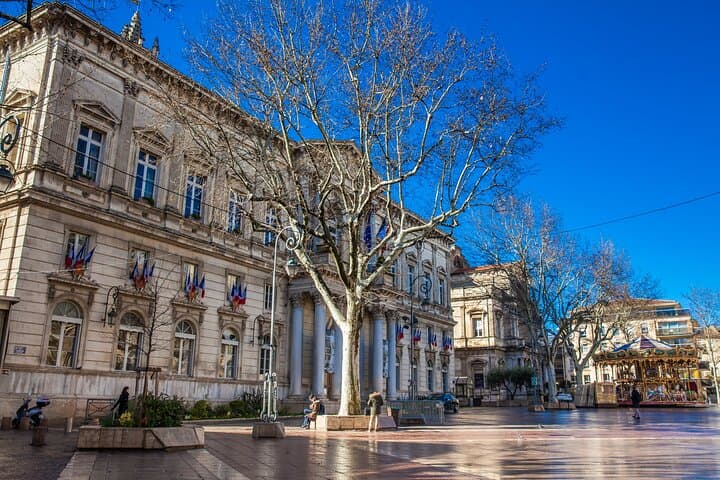 Marseille to Avignon & Pont du Gard: Private Historic Tour