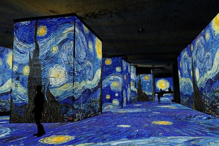 Private Tour from Marseille: Les Baux, Van Gogh & Saint-Rémy