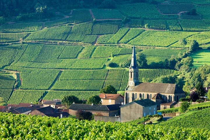 Burgundy Private Shore Tour from Dijon Cruise Port