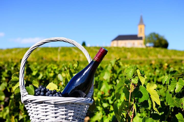 Burgundy Private Shore Tour from Dijon Cruise Port