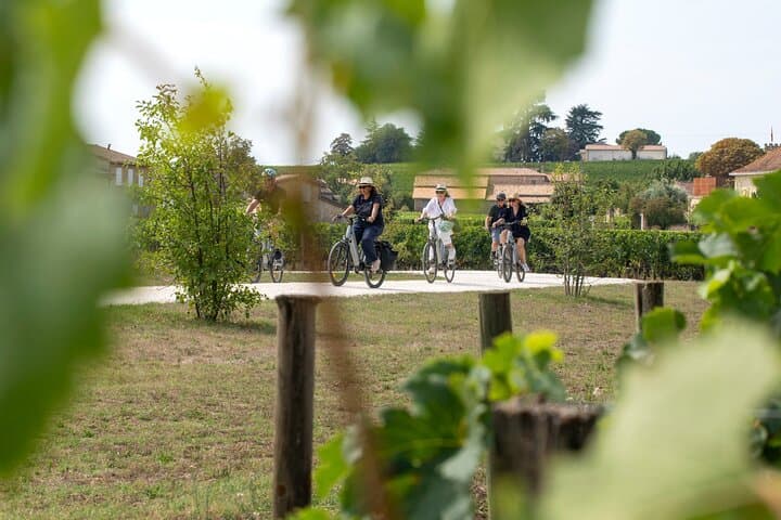 Saint-Emilion Small-Group Electric Bike Wine Tour Tastings & Lunch from Bordeaux