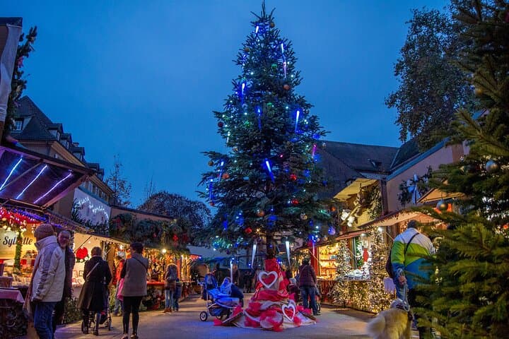 From Colmar: Small-Group Alsace Christmas Markets & Villages Tour