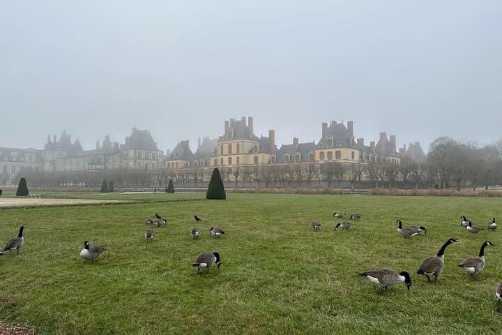 Château de Fontainebleau Half-Day Tour