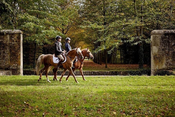 Private Horseback Ride in the Palace of Versailles