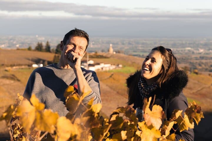 Beaujolais and Burgundy Private Winter Wine Day Tour From Lyon
