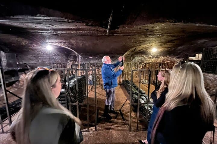 Beaujolais and Burgundy Private Winter Wine Day Tour From Lyon