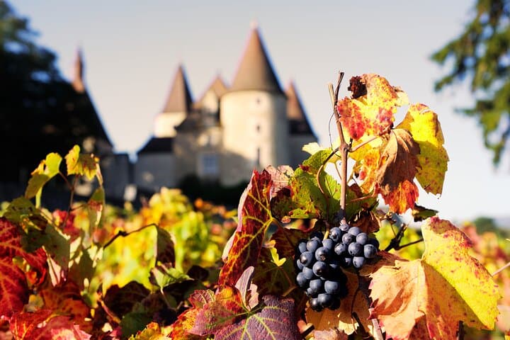 Beaujolais and Burgundy Private Winter Wine Day Tour From Lyon