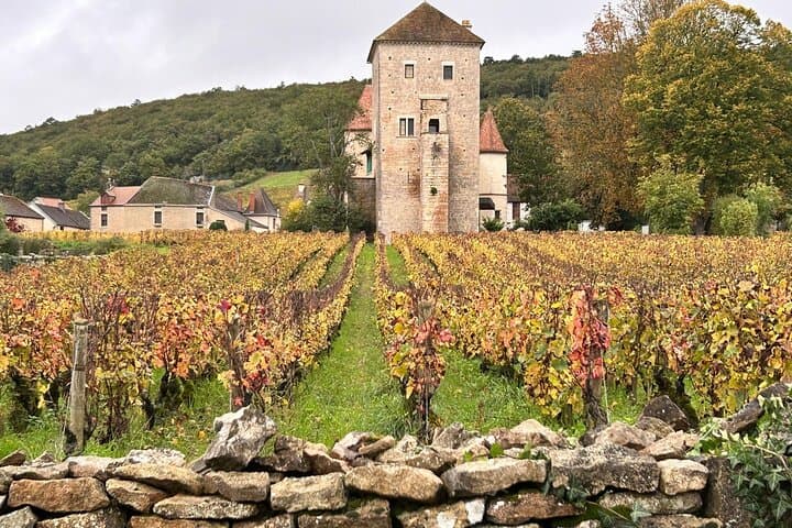 Private full day tour in Burgundy : Historic & Wine Journey