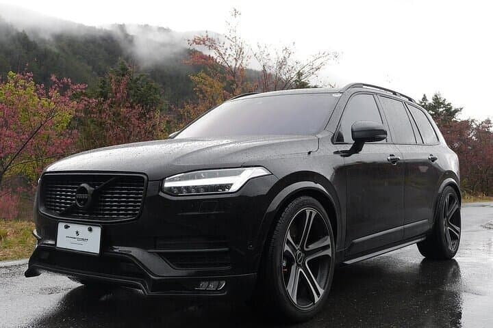 Arrival Transfer BIQ Airport to Biarritz City by Minivan or SUV