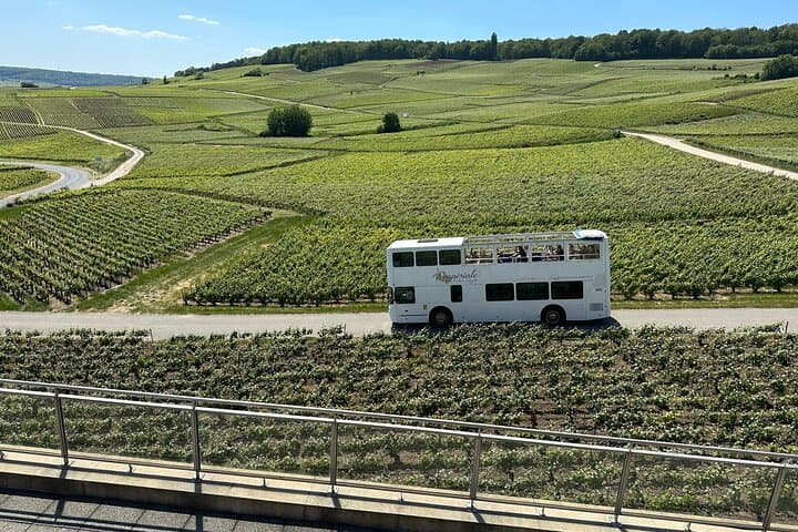 Private Tour of Epernay and Vineyards by Bus with Champagne