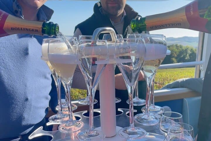 Private Tour of Epernay and Vineyards by Bus with Champagne