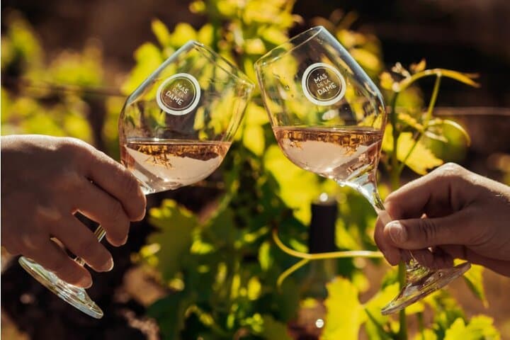 Excursion to the Baux de Provence Culture Wine and Cuisine