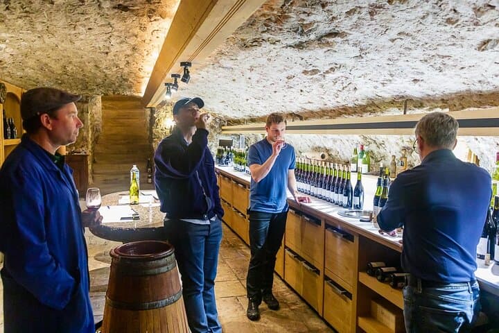 Excursion to Châteauneuf-du-Pape with Truffles and Cuisine and Wines