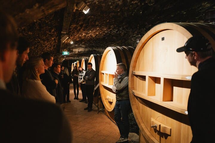 Excursion to Châteauneuf-du-Pape with Truffles and Cuisine and Wines