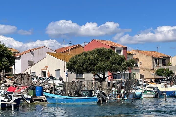 Excursion to Sète Fishing and oyster district