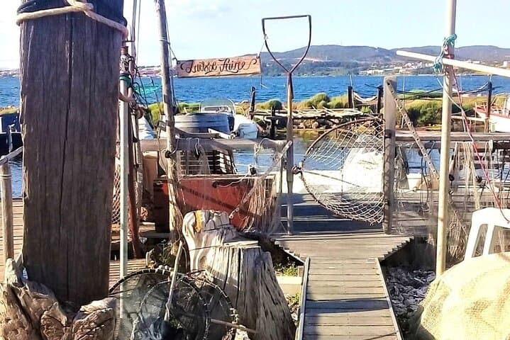 Excursion to Sète Fishing and oyster district