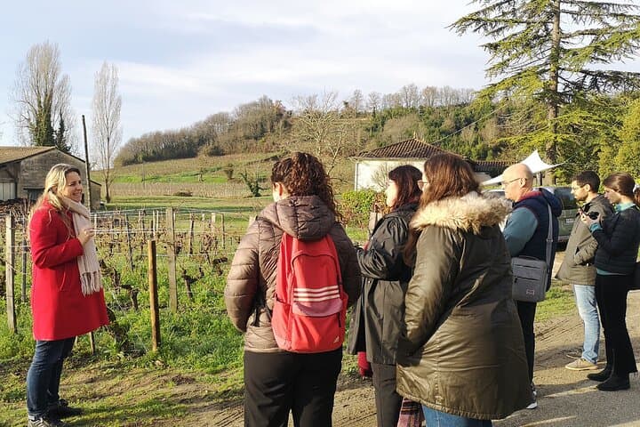 Wine tour Saint-Emilion Vert Bordeaux
