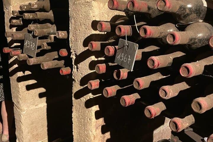 Wine tour Saint-Emilion Vert Bordeaux