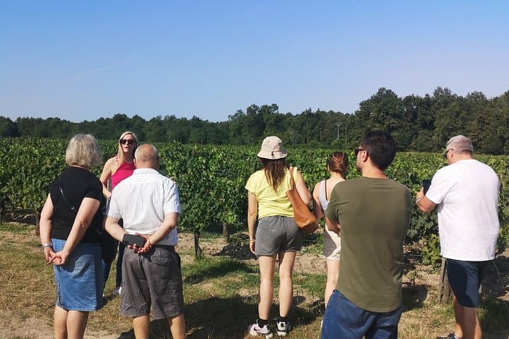Médoc Wine Tour Vert Bordeaux